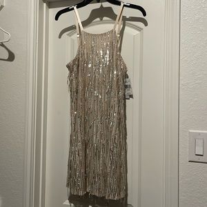 Dangling Sequin Fringe Trapeze Dress